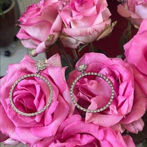 Elegant Silver Hoop Earrings